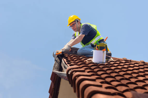 Best Roof Installation  in Pascagoula, MS